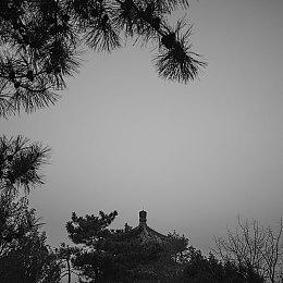 小动物肉鸽自走棋《卡多梦：超能自走棋》将于3月26日登陆Steam抢先体验